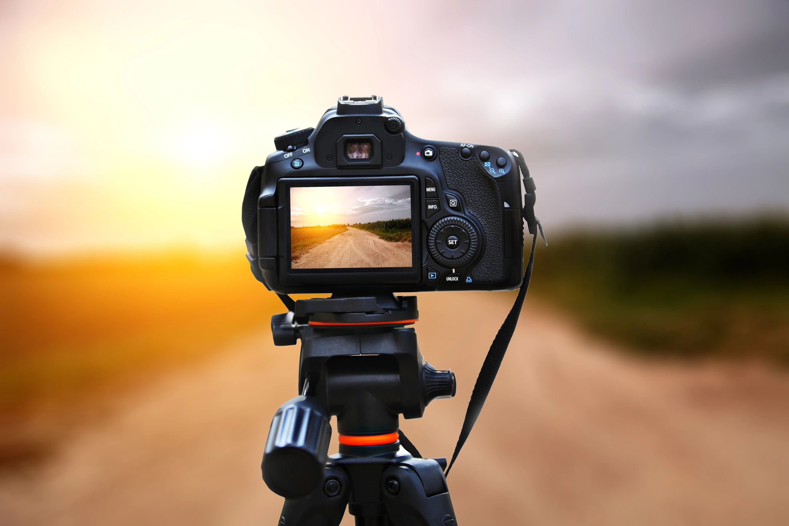 Country road through open fields